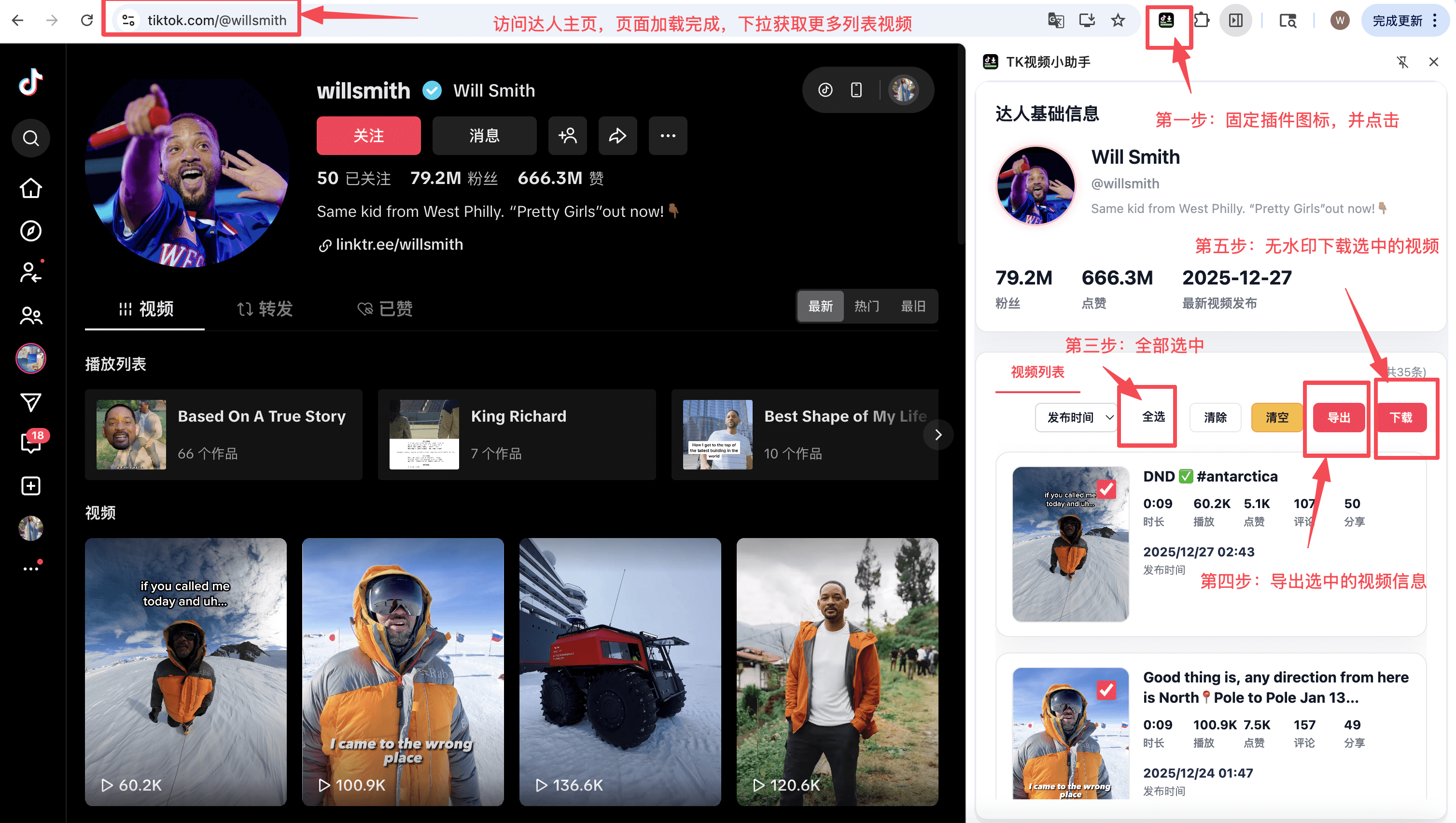 TK视频小助手使用指南